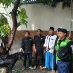 Penyembelihan Hewan Qurban dari SGO Gojek Surabaya